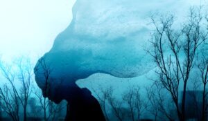 Read more about the article What Does It Truly Mean to Be Lost—Physically, Emotionally, or Mentally?